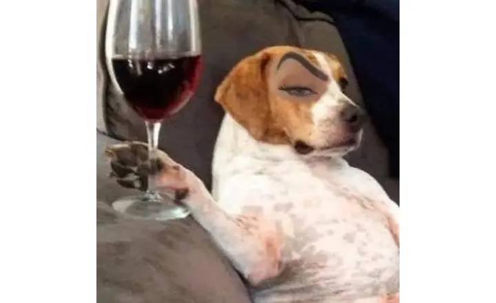 Assinatura de um clube de vinhos para os noivos
